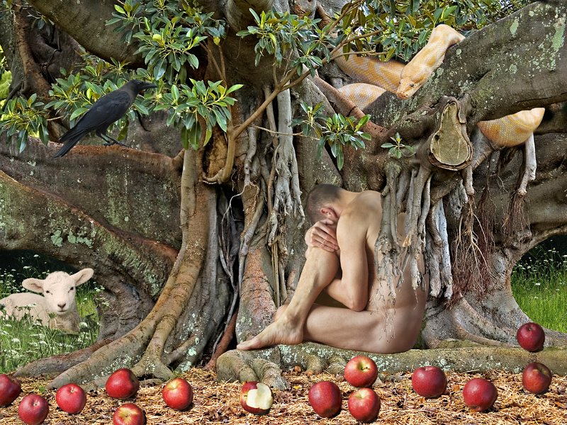 2 - adam's apples - HARDLEY Liz - new zealand.jpg